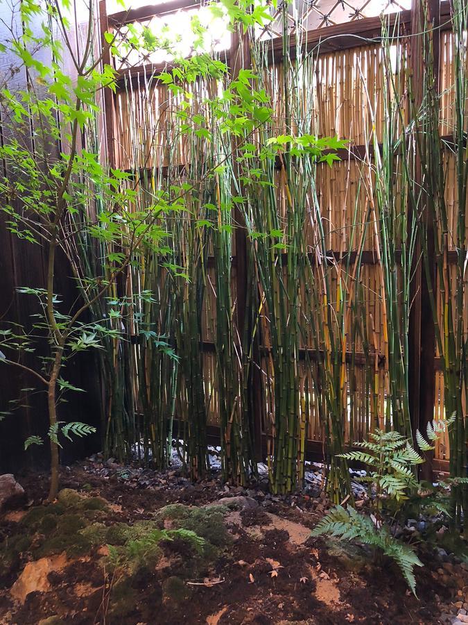 色絵古都 Iroekoto 京都 外观 照片